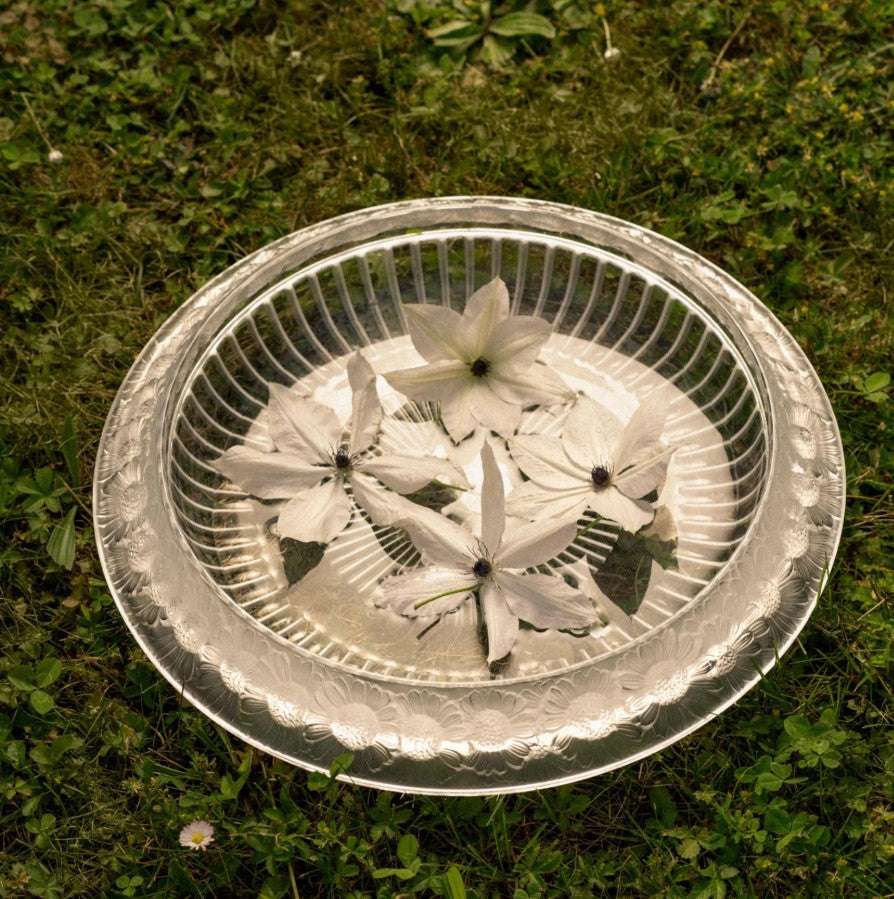 Lalique Marguerites – Coupeschale aus klarem Kristall